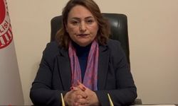 CHP'li Dr. Müzeyyen Şevkin’den en düşük emekli maaşına tepki: Emekli, hastanede ve AVM’de ısınıyor