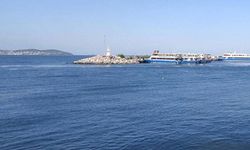 Marmara’da 'torik akını'