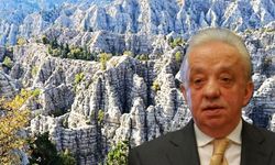 Cengiz Holding koruma altındaki alanda maden arama izni aldı