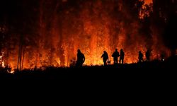 Şili alev alev yanıyor! Çok sayıda ölü var, OHAL ilan edildi