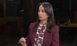 DEM Partili Hatimoğulları'ndan MHP'ye çağrı! Yaptırım gücünü kullanın