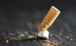 Sigara izmariti 44 yıllık cinayeti aydınlattı