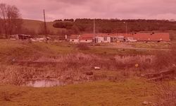 Arnavutköy’de çiftlik evinde dehşet: Elektrikli testereyle saldırı