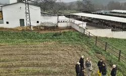 ‘Mizan’ operasyonuyla kayıp üçlünün akıbeti ortaya çıktı: 20 yıllık kayıplar çiftlikte gömülü bulundu