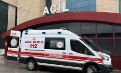 İstanbul’da kuduz alarmı: 123 bin kişi başvurdu