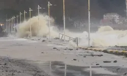 Yalova'da korku dolu anlar: AFAD ekipleri sevk edildi