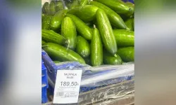 Bir kilo salatalık 189,5 lira oldu