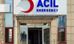 Kuduzda artış iddiaları? İstanbul Valiliği'nden açıklama geldi