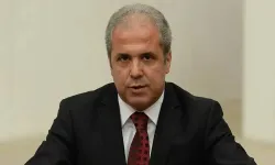 AKP'li Şamil Tayyar bile isyan etti: 'İnşallah '3 Nolu Baroyu kuralım' demezler'