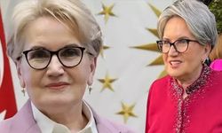 Meral Akşener siyasete mi dönüyor? 'Bir masa etrafında buluşup konuşmak isterim'