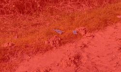 İstanbul’da Çinli iş insanına korkunç infaz!