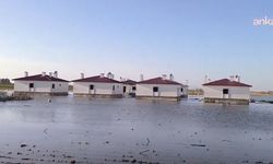 Deprem konutlarını su bastı... Depremzede 'buraya ev yapmayın, göl yeri dedik, devletimize anlatamadık' dedi