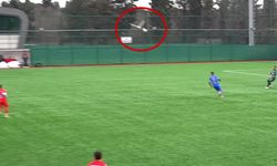 Kalecinin degajıyla vurulan martı kalp masajı ile yaşadı