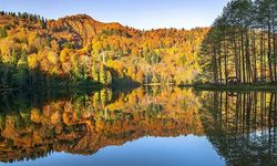 Milli parklar için 'yıkım' kararı! Tek bir imza yetecek