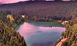 Koruma adı altında milli parklara 99 yıllık tahsis izni