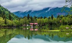 Milli Parklar Kanunu'nun ilk 5 maddesi kabul edildi! Doğa talan edilecek