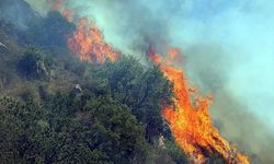 KDK uyardı, kurumlar sessiz: Orman yangınları dosyasında ikinci başvuru