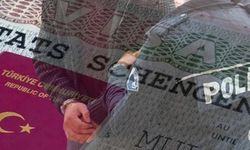 Sahte vize siteleriyle milyonluk vurgun yaptılar!