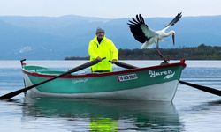 Adem Amca ile Yaren leylek 15. kez buluştu! Birkaç gün önce gelmiş ama...