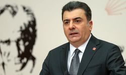 CHP'li Zeynel Emre: İktidara sorulmalı, 1,5 milyon zeytin ağacı ne olacak?