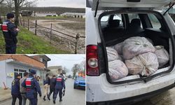 Gıda terörü! İstanbul’da yüzlerce kilo at eti ele geçirildi