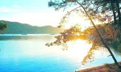 Halkın tepkisi sonuç verdi: Ayten Koyu’nda marina askıya alındı