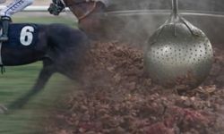 Aşevinde mikroçip skandalı: Yarış atı dana eti yerine kullanılmış