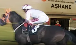 Mersin Büyükşehir Belediyesi'nden ‘at eti’ iddiasına açıklama