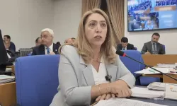 DEM Partili Aydeniz istifa etti