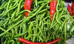 Biberin kilosu 550 liraya çıktı!