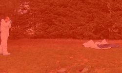 TEM bağlantı yolunun kenarında bebek cesedi bulundu