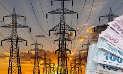 Dev fatura: Kamu kaynağı özel şirketlere aktı