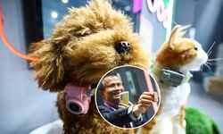 Evcil hayvanlar için akıllı telefon