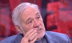 İlber Ortaylı Çanakkale'yi böyle anlatmıştı! 1915'te geçilseydi, geldikleri gibi gitmezlerdi