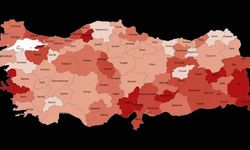 TÜİK, 2025 işsizlik oranını açıkladı! İşte işsizlik oranının en düşük ve en yüksek olduğu iller...