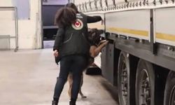 Kapıkule Gümrük Kapısı'nda 1 ton 413 kilo uyuşturucu yakalandı