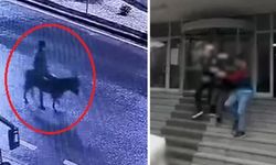 Eşekle kuyumcu soyan hırsız için istenen ceza belli oldu! Görüntüler viral olmuştu