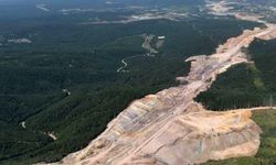 Kuzey Ormanları’nda alarm: Binlerce ağaç tehlikede