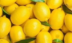 Cumhurbaşkanı kararıyla limon ithalatında uygulanan vergi yüzde 10'a düşürüldü