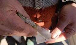 Günde 8 paket sigaraya bedel! Sinir sistemi ve kemik sağlığını tehdit ediyor