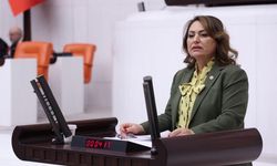 CHP’li Dr. Müzeyyen Şevkin’den İçişleri Bakanı’na kritik soru önergesi