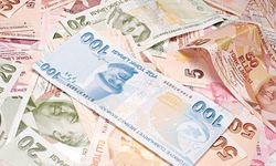 Memurluğu bıraktı, servet kazanıyor! Tanesi 1 milyon lira