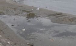 Büyükçekmece'de korkutan görüntü! Deniz 3 metre çekildi