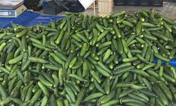 İstanbul’da şubat ayının zam şampiyonu: Salatalık