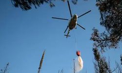 Orman Genel Müdürlüğü’nden kiralık filoya 10.2 milyar ödeme!