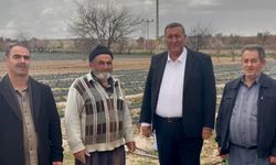 Üretici alarm veriyor: 'Artık dayanacak gücümüz kalmadı'