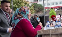 Karadeniz’de maden gerilimi: Köylüler ayakta