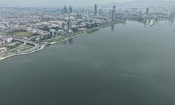 “Sistematik çevre ihlali endişe veriyor”