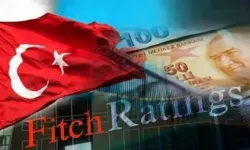 Türkiye Varlık Fonu'nun notu düştü