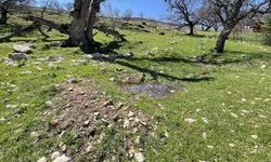 Gülistan Doku soruşturmasında arama ayrıntıları: 'Mezar görüntüsünde' boşluk tespit edilmiş